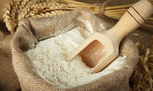 Румунія випередила Україну щодо постачання ріпаку до Німеччини