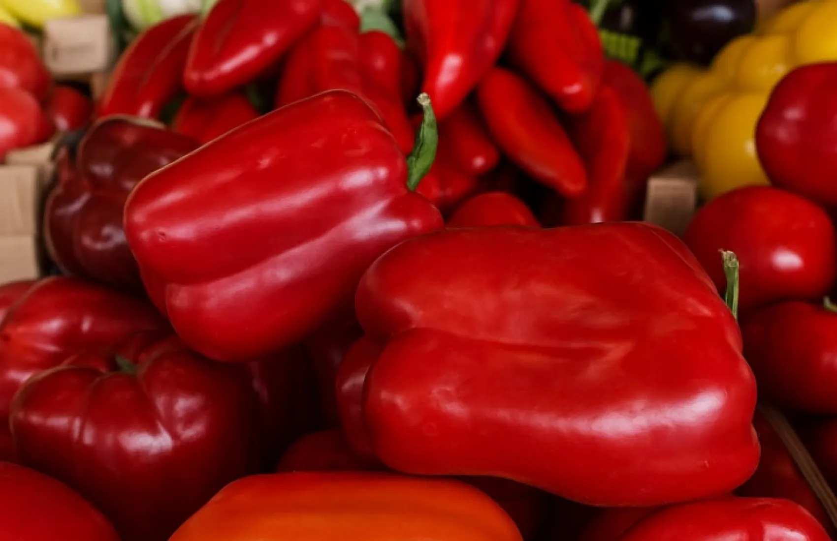 Cucumbers and vegetables used in borscht have become cheaper in Ukraine