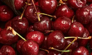 Українські виробники очікують хороший урожай черешні