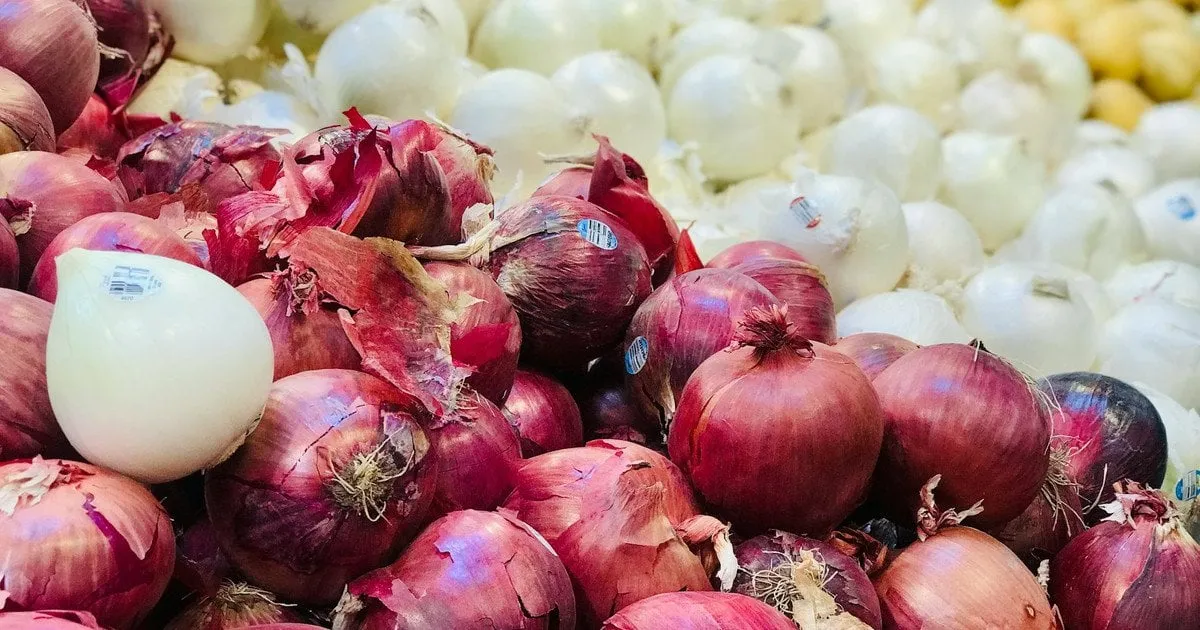 В Україні стрімко дорожчає цибуля: фермери не встигають зібрати врожай через дощі В Україні стрімко дорожчає цибуля: фермери не встигають зібрати врожай через дощі