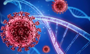 У «Борисполі» відкриється нова багаторівнева парковка