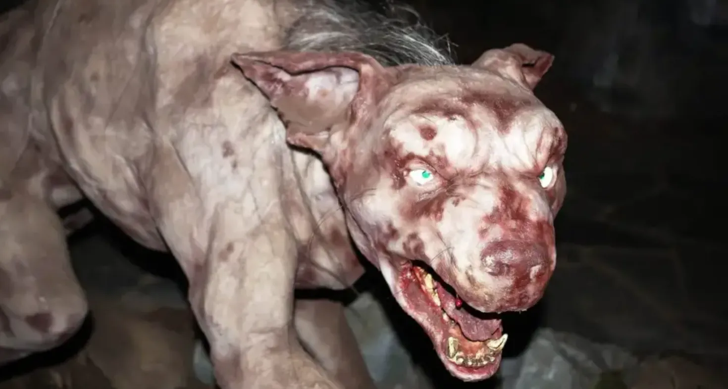 Відео: Чупакабра повернулася, на Хмельниччині невідомий звір масово вбиває тварин