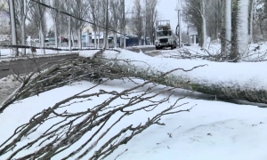 Відео: Нацкорпус заявив про блокування у Києві бази тітушок Медведчука