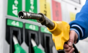 Стефанчук назвав єдине питання, яке буде винесене на референдум