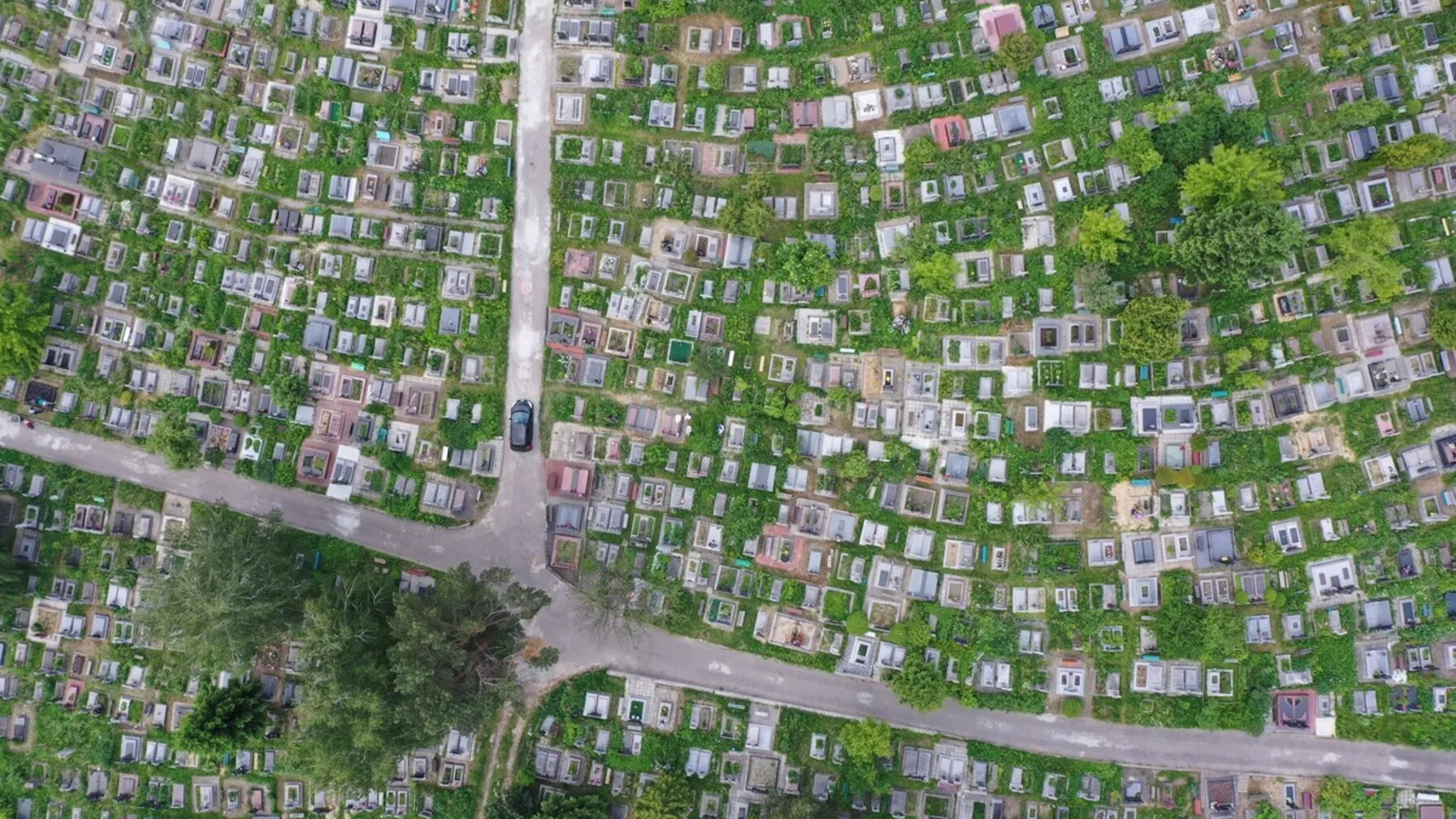 Free transportation for visitors will be provided at Lviv’s largest cemetery