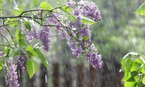 Фото: на Херсонщині відбулися навчання бойових плавців ЗСУ