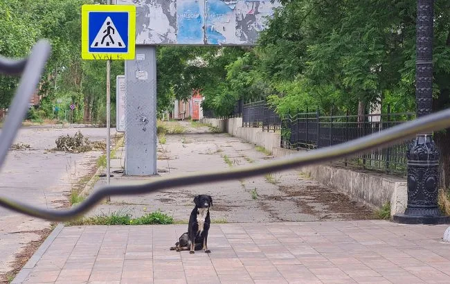 У Херсоні попередили про мінування частини Бериславського шосе