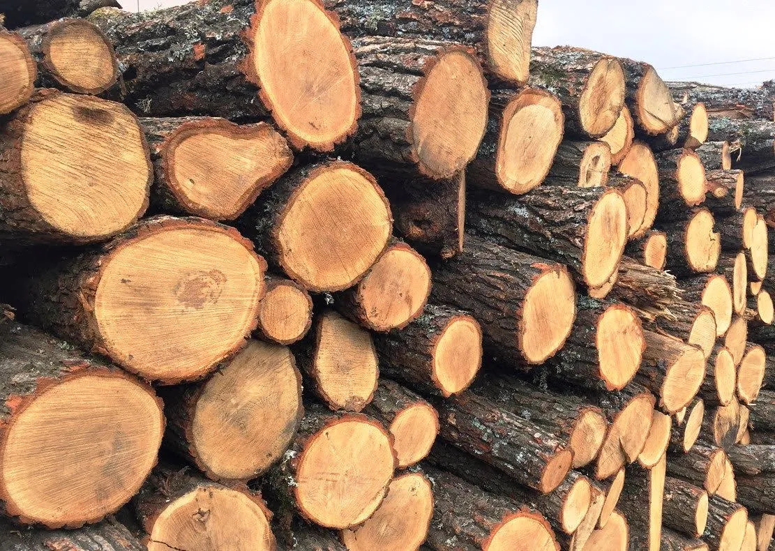 Ukrainians can receive up to 19,400 UAH for firewood: how to apply for the benefit