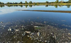 Акції Tesla виросли на тлі загадкових публікацій компанії у соцмережах