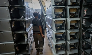 Досліджуватиме ефективність роботи влади Києва: у ВР створили Тимчасову спецкомісію