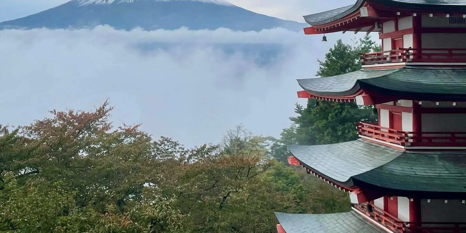 Японське місто Фудзійосіда скасувало популярний серед туристів фестиваль сакури