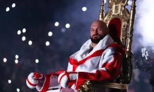 Відео: на Полтавщині тварини перервали футбольний матч між Україною та Італією