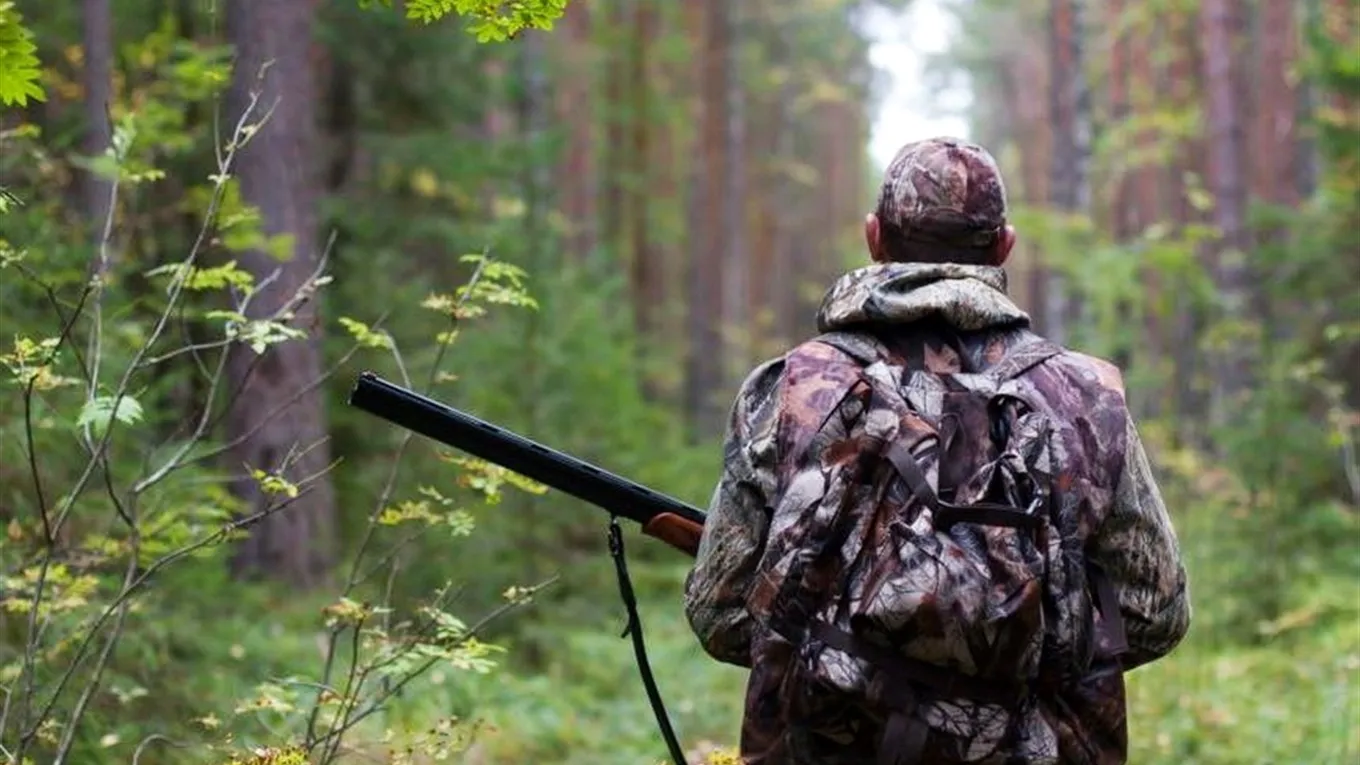 In the Rivne region, 30,000 hectares of land in a military town were taken from hunters