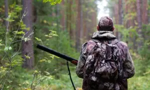 Стало известно, на что ещё распространяются «антимедведчуковские» санкции