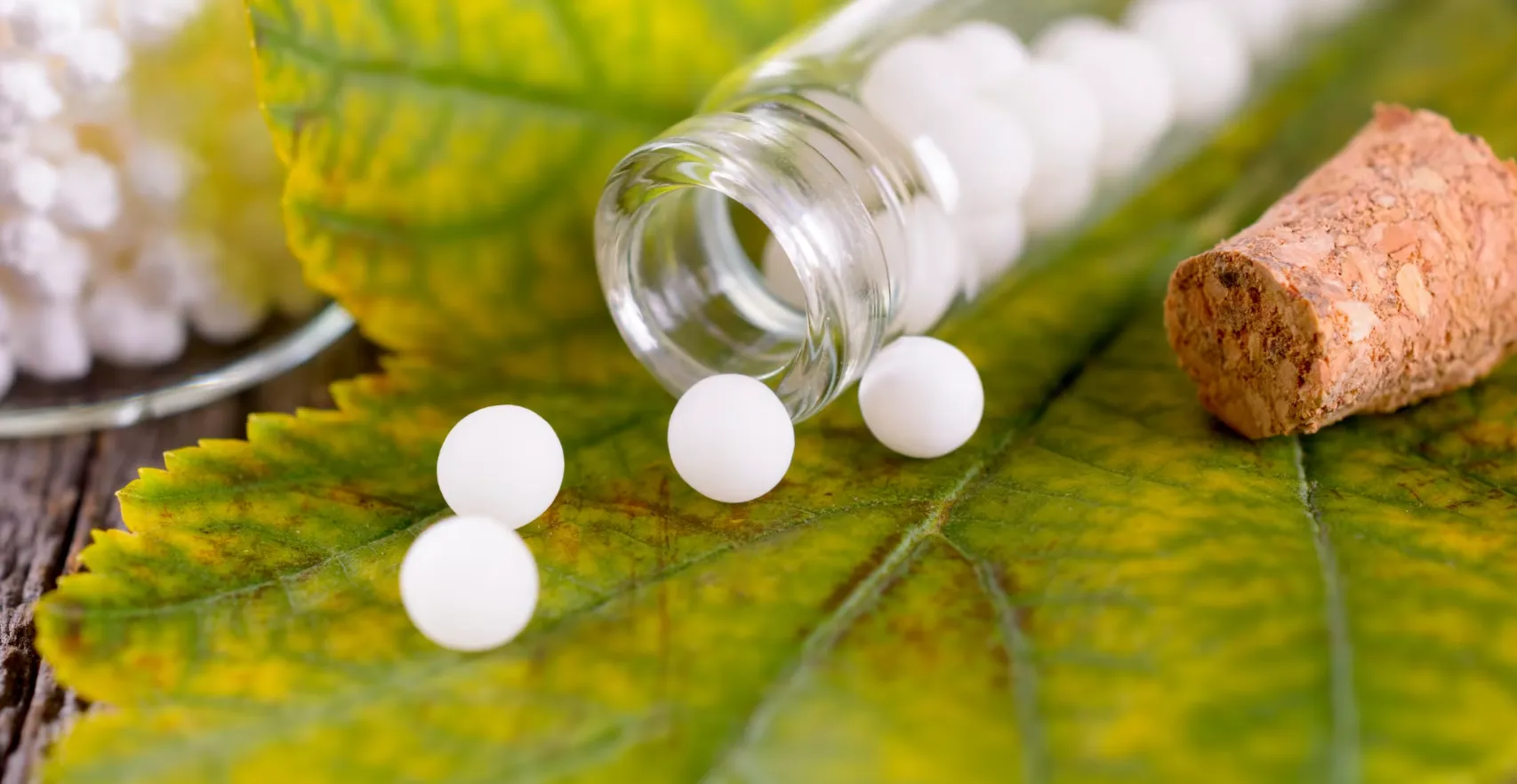 У Росії переслідуватимуть захисників гомеопатії