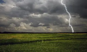 У Луцьку затримали посадовця міськради на хабарі $30 тис
