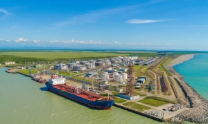 Демократи побили рекорд донатів на передвиборну кампанію Камали Гарріс