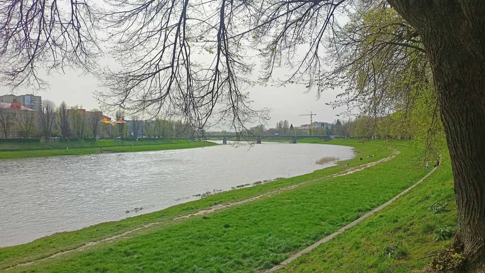 Тепло, але з дощами і туманами: якою буде погода в Україні 2 квітня