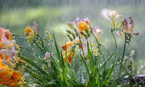 Окупанти посилили обстріли на Донбасі й отримали гідну відсіч ЗСУ