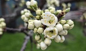 Экспорт украинских товаров в ЕС заметно вырос в первом полугодии