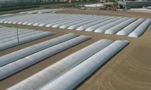 Łotewscy sadownicy pozytywnie oceniają zbiory jabłek