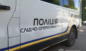 На Волині митники вилучили партію дієтичних добавок на 150 тисяч гривень