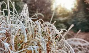 Незабаром українці зможуть побачити найдовше затемнення і «кривавий Місяць»