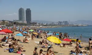 Прихильники закликають Трампа не поспішати із заявами щодо участі у виборах