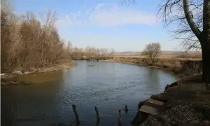 «Укрзализныця» возобновляет возврат билетов через интернет