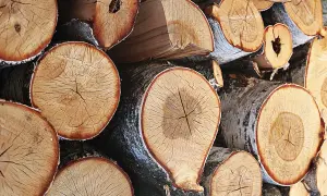 Опрос показал, сколько украинцев – за вступление в НАТО