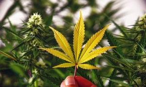 Стало відомо, скільки українців захворіли на ГРВІ, грип та коронавірус у минулому місяці 