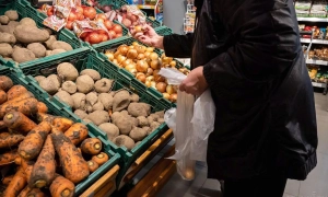 У диких лебедів на Київщині виявили небезпечну хворобу