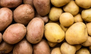 КНДР визнала незалежність «днр»