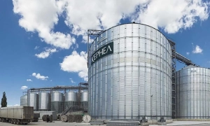 Вартість біткоїна перевищила дворічний максимум у 64 тисячі доларів