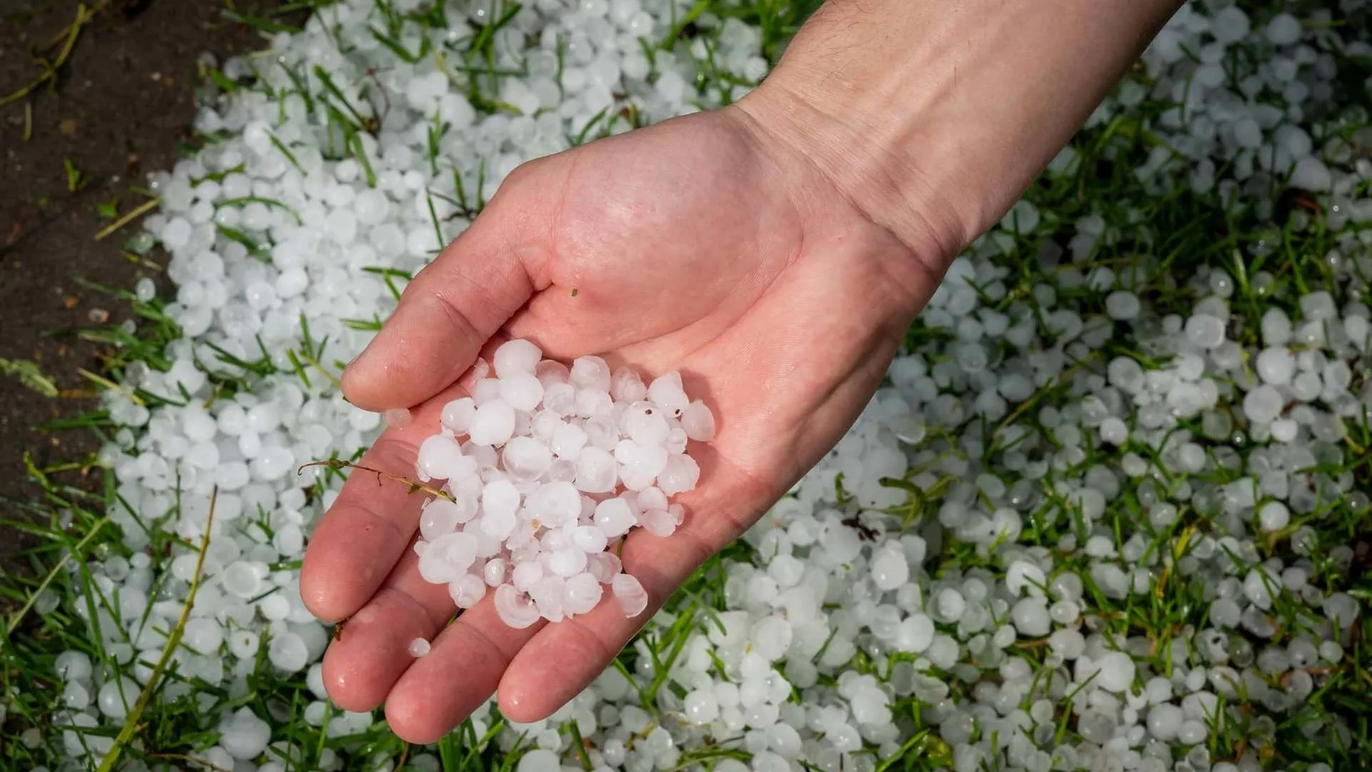 Шторм обрушился на запад Украины: ветер срывает крыши и оставляет города без света