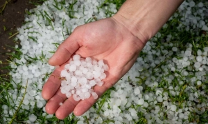 A storm has hit western Ukraine: strong winds are tearing off roofs and leaving cities without power