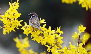 На Донбасі терористи обстріляли із гранатометів населений пункт