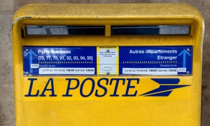 Нове дослідження розкрило серйозну загрозу для світової екології 