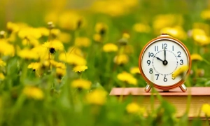 В Испании возбудили дело о коррупции против бывшего короля