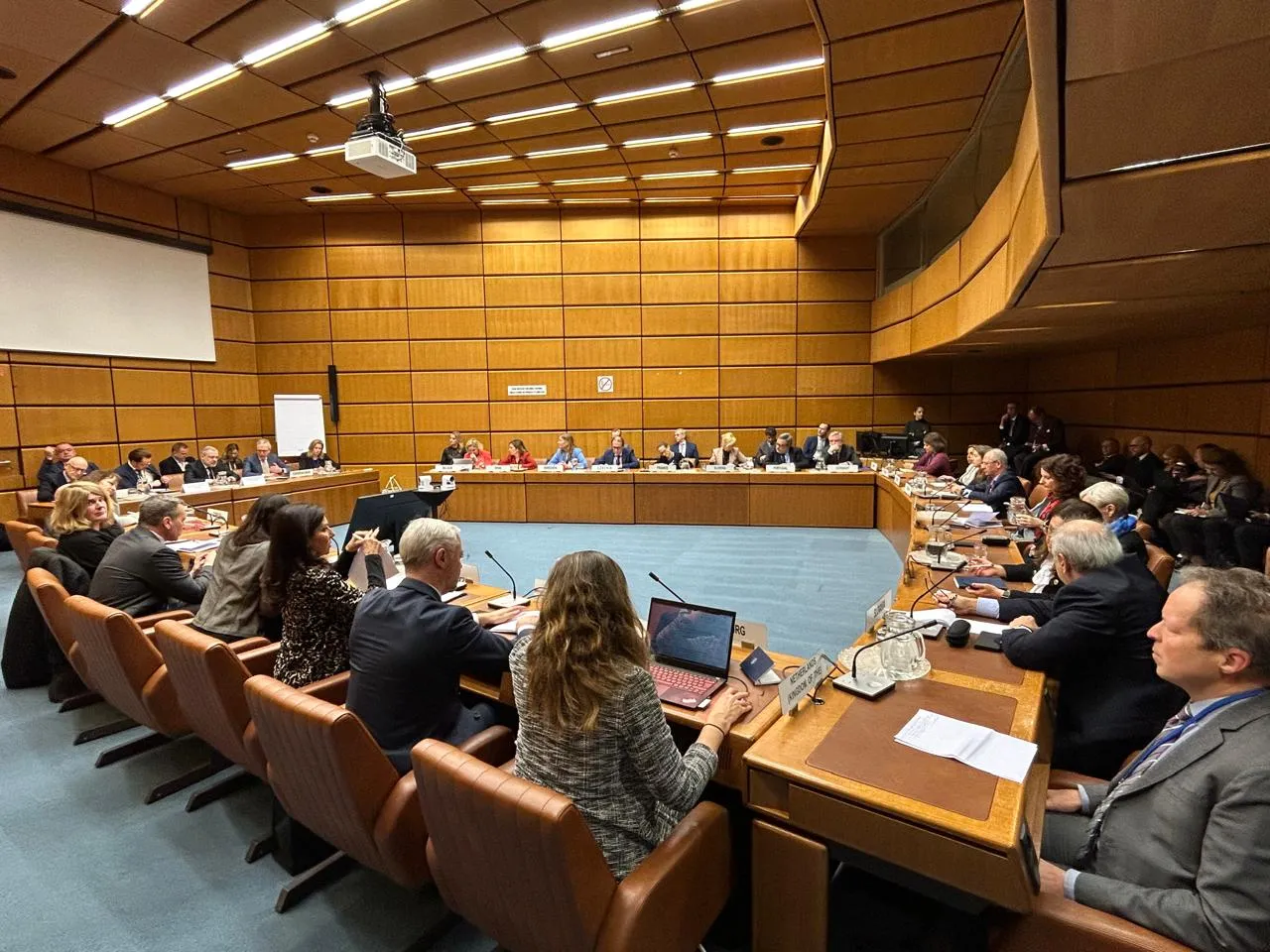 США проголосували проти резолюції МАГАТЕ, яка засуджує удари рф по енергетиці України