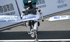 В Бундестаге хотят заблокировать выделение средств ЕС Венгрии