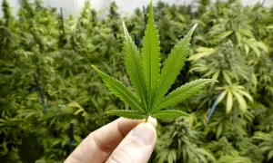 Стало відомо, кого Франція запросила до коаліції з навчання військових в Україні