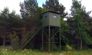 Вбивство активіста в Сумах: у поліції розкрили основні версії злочину