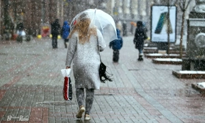 Заробляв на автівках і амуніції для армії: на Хмельниччині викрили «волонтера»