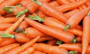 У Німеччині відбулася зустріч в «нормандському форматі»: у МЗС розповіли подробиці