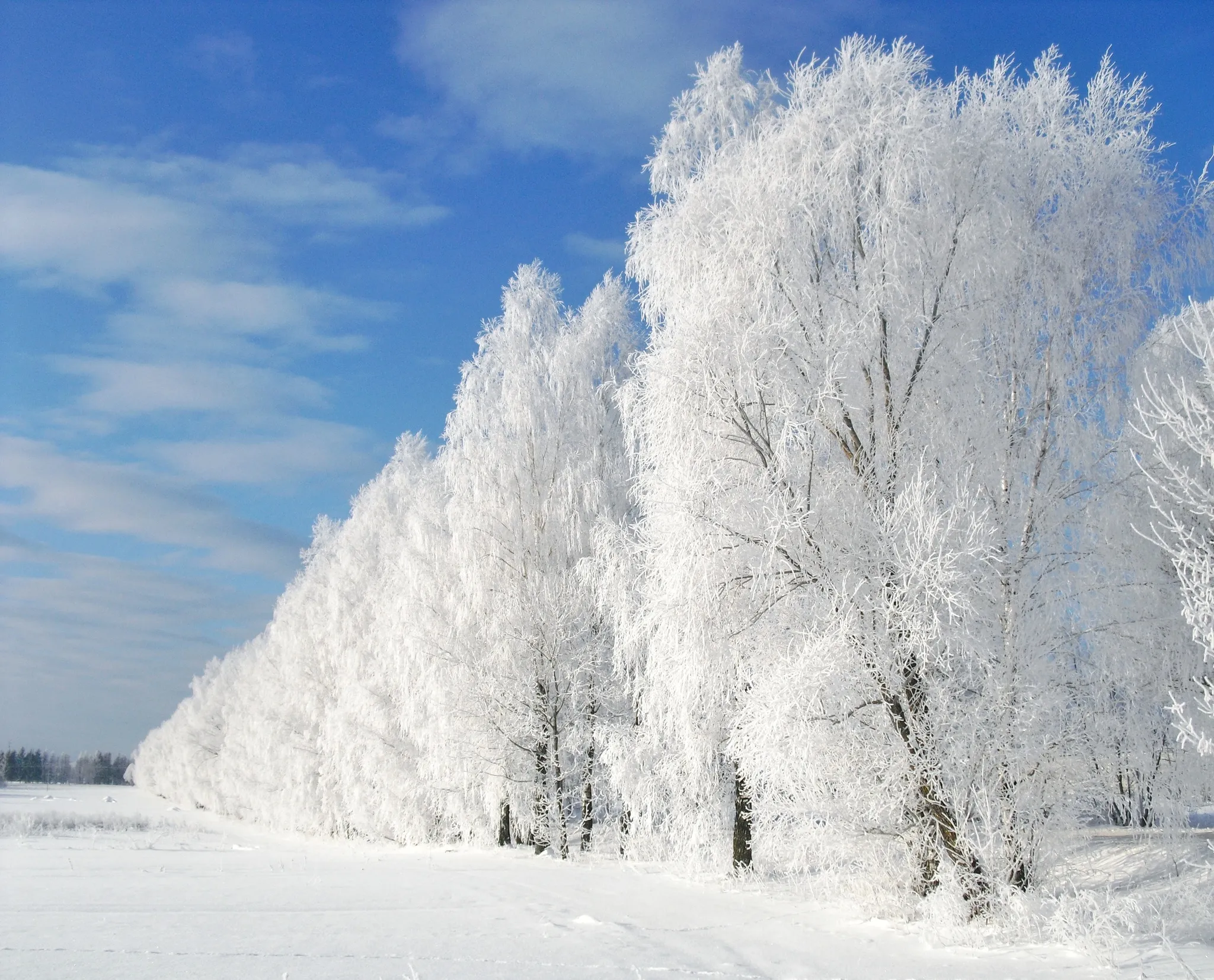 Метеоролог Кульбіда: цієї зими в Україні не буде тривалих морозів і сталого снігу
