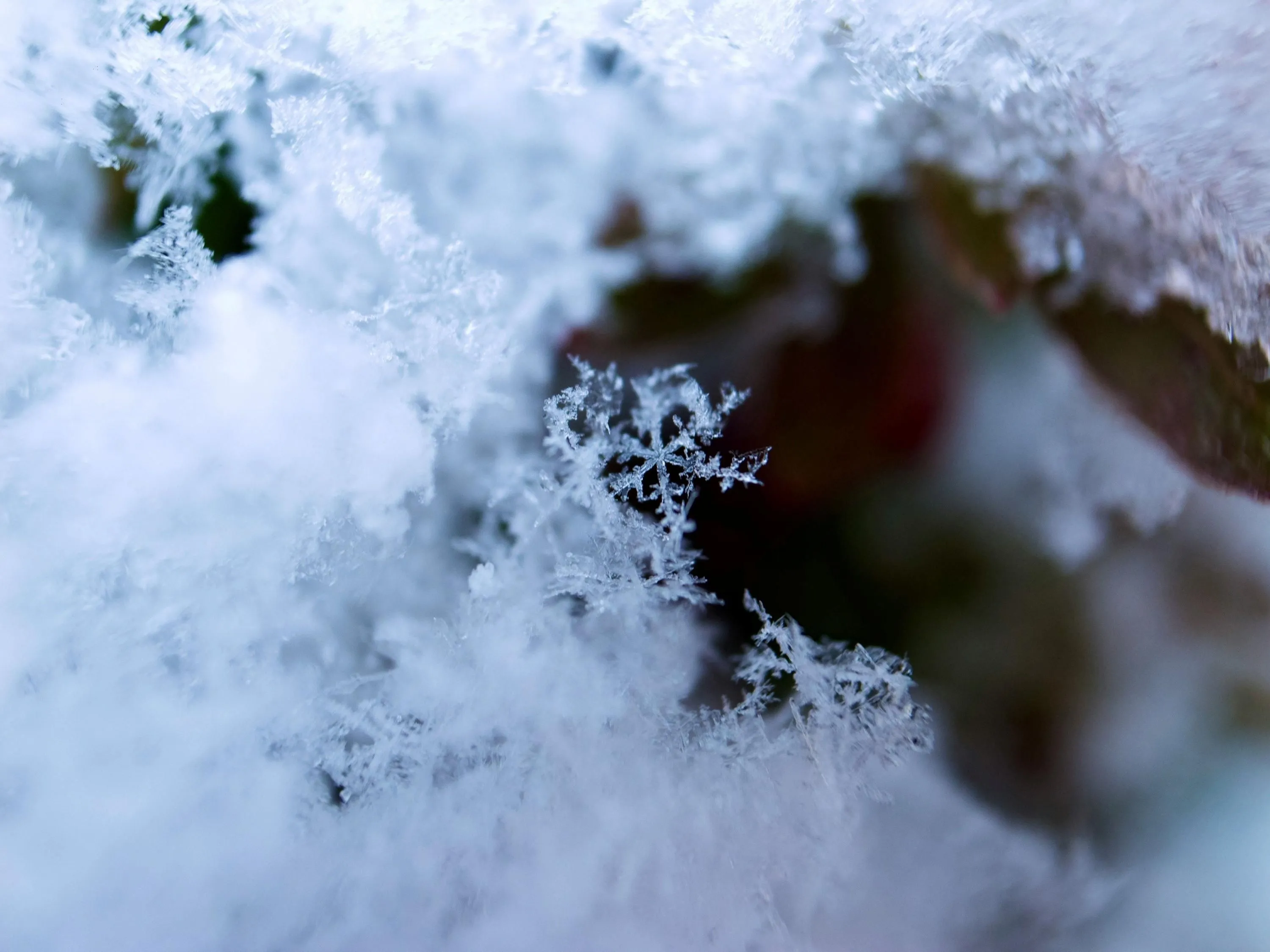 Морози до -20°C: синоптики попереджають про сильне похолодання 15 січня в Україні