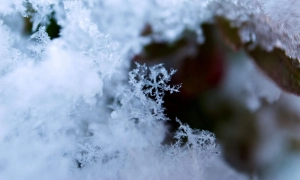 В Україні призупинять видачу водійських прав