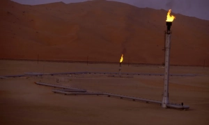 шойгу заявив, що у рф все йде «за планом»