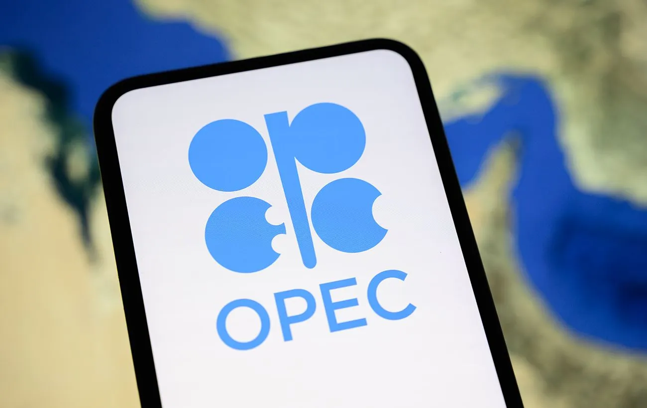 ОАЭ объяснили выход из ОПЕК: решение назвали стратегическим